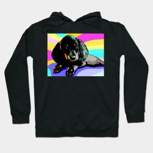 Dog 153 Dachshund Hoodie